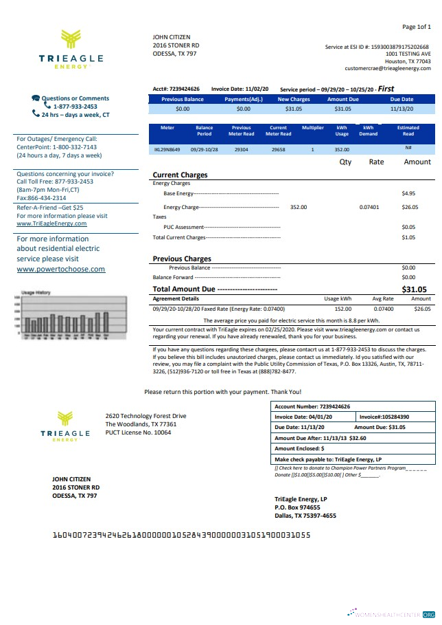 download USA Texas TriEagle utility bill template in Word and PDF (.doc and .pdf) format PDF template